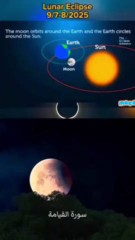 QS. Al Qiyaamah (kebangkitan) ayat 7-13. Saat penglihatan terang bulan purnama,  mata hari dan bulan berkumpul 🌓. Ya Allah,  aku bertaubat kepada Mu dan mencari pengampunan Mu.  Taubat seorang yang zalim kepada dirinya sendiri. #gerhanabulan#bloodmoon #gerhana #tandakekuasaanallah #fyp