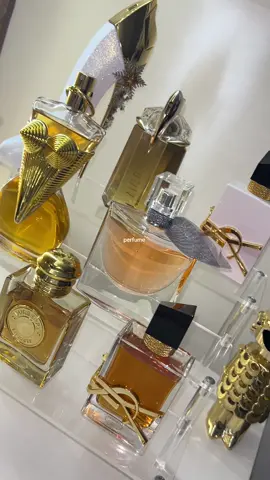 Perfume #perfume #perfumecollection #fyp @Carolina Herrera @YSL Beauty @Mugler @Lancôme @Burberry @JeanPaulGaultier @rabanne @pradabeauty 