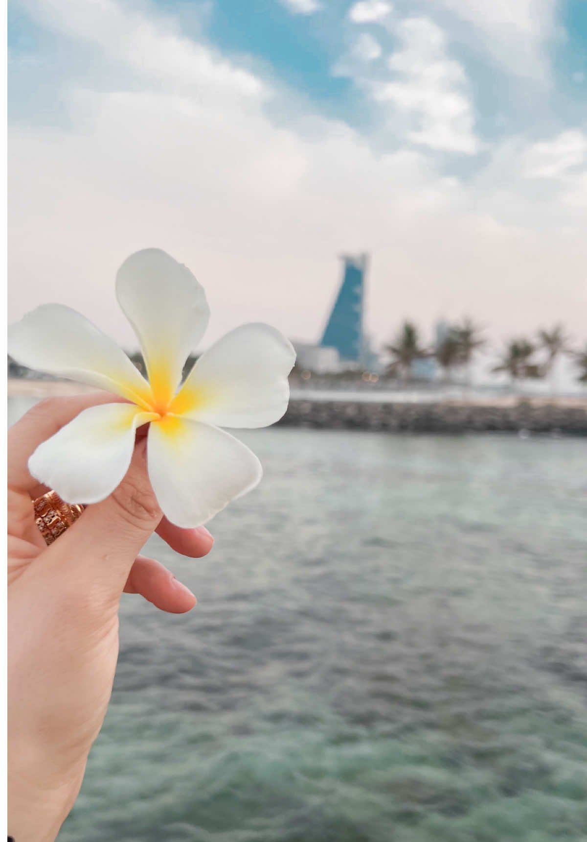 #روح_البحر #فضل_شاكر #art #بحر_جدة #بدون_موسيقى 