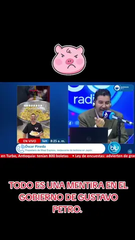 Si los cerdos con los que se preparó la lechona que se vendió en Japón venían de México ¿Qué ganó colombia con las 10 millones de toneladas que se vendieron? todo una gran Mentira 
