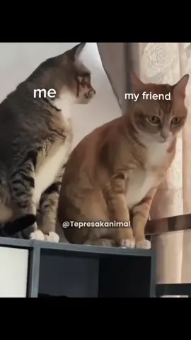 our boyfriend 🧎🏻‍♀️#zhouyiran #yiran #yiranzhou #edit #fyp 