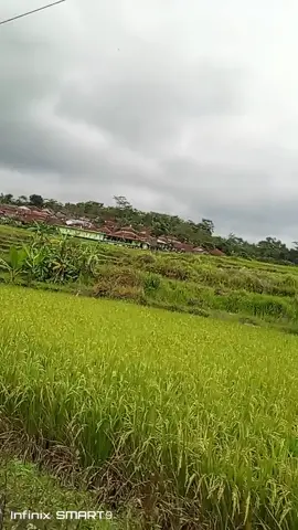 #tasikmalaya_jawabarat #pengikutnetto #sorotanpublik🔥 #jangkauanluastiktok #semuaorang 