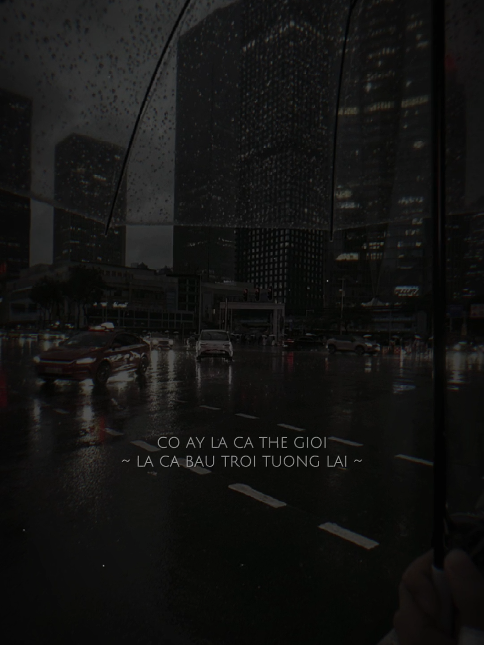 Cô ấy là cả thế giới...!#nhachaymoingay #nhactamtrang #tamtrang #remix 