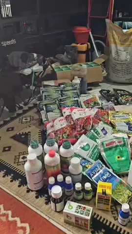 inilah petani enggak miskin. tapi beli ini itu ada😉☺️☺️🤭#🌶️ #petanimuda🇮🇩🇮🇩🇮🇩🌿🌿 #foryoupageofficiall 