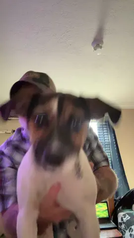 Stick em up she will lick you to death #fyp #follow #like #comment #share 