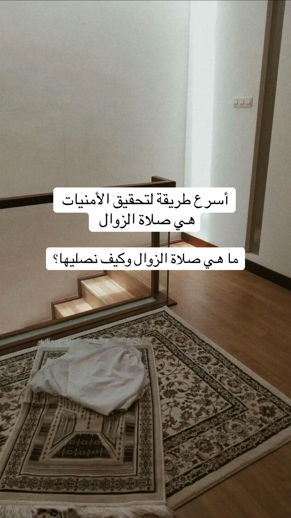 #صلاة_الزوال #صلاة #رسالة_لك #قران_كريم #قران #قضاء_الحوائج #بشارة_الله_لك #رسالة_اليوم #اكسبلور #فوريو #quran #quran_alkarim #explore #foryoupage #fyyyyyyyyyyyyyyyy 