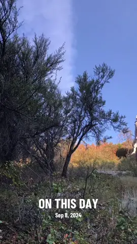 #autumn #soultherapy get out in nature and get some food for your soul! #thegreatoutdoors #ruck #gogetit 