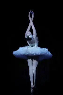 Ballet🦢#fyp #viral #ballet #ballerina #aesthetic 