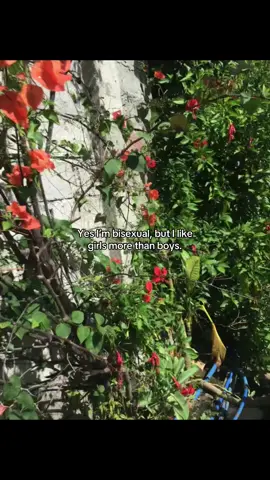 #fyp #wlw #bisexual 