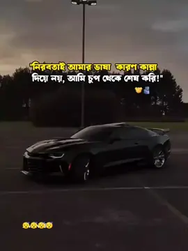 শান্ত মানুষটাই আসলে ভয়ংকর। কারণ তাঁরা জানে কোন সময় চুপ থাকতে হয় আর কোন সময় সব কিছু শেষ করে দিতে হয় 🫡