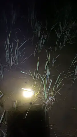 Thanh niên xóm😂