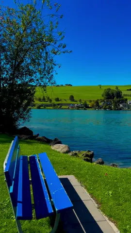 #سويسرا🇨🇭 استمعو شباب 🫡