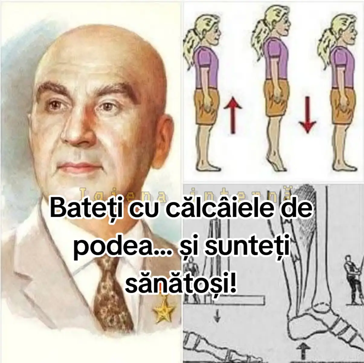 ... pe care medicina oficială nu le promova. Una dintre ele este „vibrogimnastica” academicianului Alexandr Mikulin. Acest exercițiu ajută la eliminarea excesului de acid lactic din mușchi, îmbunătățește circulația venoasă și previne stagnarea sângelui. Se adresează nu doar venelor mari ale picioarelor, ci și capilarelor – acolo unde apar frecvent blocaje. Cum se face? 1. Stați în picioare. 2. Ridicați călcâiele 1–2 cm de la podea. 3. Lăsați-le brusc în jos ( puteți folosi un covoraș) Repetați de aproximativ 30 de ori, de 3–5 ori pe zi. Exercițiul se face într-un ritm lent (o mișcare pe secundă). Nu ridicați călcâiele prea sus și nu grăbiți mișcările – altfel exercițiul devine ineficient și obositor. De ce e folositor? stimulează circulația sângelui către inimă; previne stagnarea și formarea cheagurilor; reduce oboseala fizică și mentală; poate fi făcut și de persoanele care nu au voie să alerge sau să meargă mult. Mikulin a demonstrat pe propria experiență eficiența vibrogimnasticii și a trăit până la 90 de ani. El a publicat cartea „Longevitate activă”, unde a arătat că această metodă ajută la prevenirea bolilor vasculare și la menținerea vitalității. Exercițiul este simplu și sigur, dar dacă aveți probleme medicale serioase, e recomandat să cereți sfatul unui specialist.