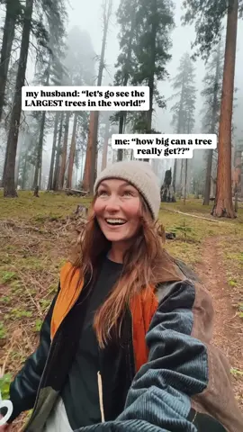 The most magical place in the USA 🥹👇 ➡️Send this to someone you want to go here with! In this California national park, you can walk among the largest living organisms in the world! 📍Sequoia National Park This park is full of epic trails - the best trail to see the largest trees is the Congress Trail. General Sherman, the largest tree in the world is located along this trail too! 👇Other things to do in Sequoia National Park include: -Watching sunset at Moro Rock -Walking the Big Trees Trail -Visiting the Giant Forest Museum -Drive through Tunnel Log -Hike to Tokopah Falls -Tour Crystal Cave ➡️ Also, don’t miss the nearby King’s Canyon National Park! We have a full, free travel guide that includes both parks - comment “GUIDE” and we will send it your way! ❗️Don’t forget to save this to your travel bucket list! #sequoianationalpark #california #travel #usatravel travel inspiration, bucket list travel, adventure travel, beautiful destinations, national parks