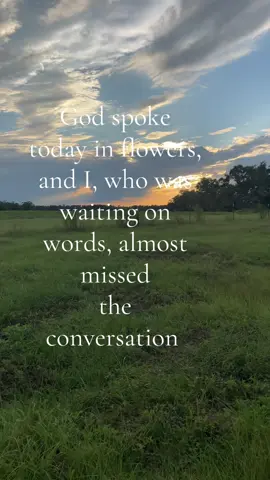 Don’t miss it by being distracted by what the devil lays out in front of you ❤️