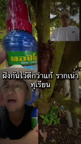 #มือใหม่ปลูกทุเรียน 