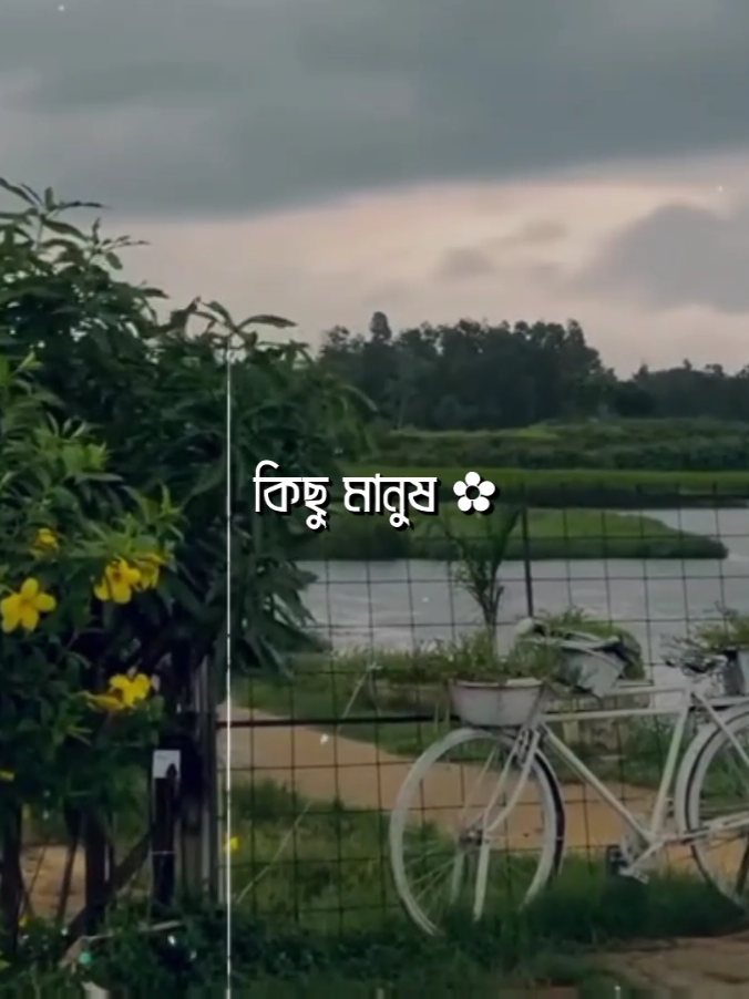 এভাবে চলছে জীবন-🥺💔 #lyrics_maruf4 #lyrics #foryou #ti #bad_buzz_society @TikTok Bangladesh @TikTok 