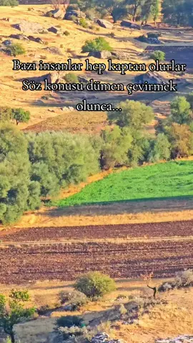 #bozkir #bozlak #kesfetbeniöneçıkart #keşfet #keşfetedüş 
