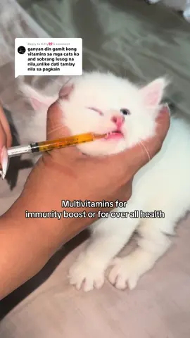Replying to @Kitty🎀 true , multivitamins for healthy cat#catsoftiktok #cassielpet #multivitamins #fyp 