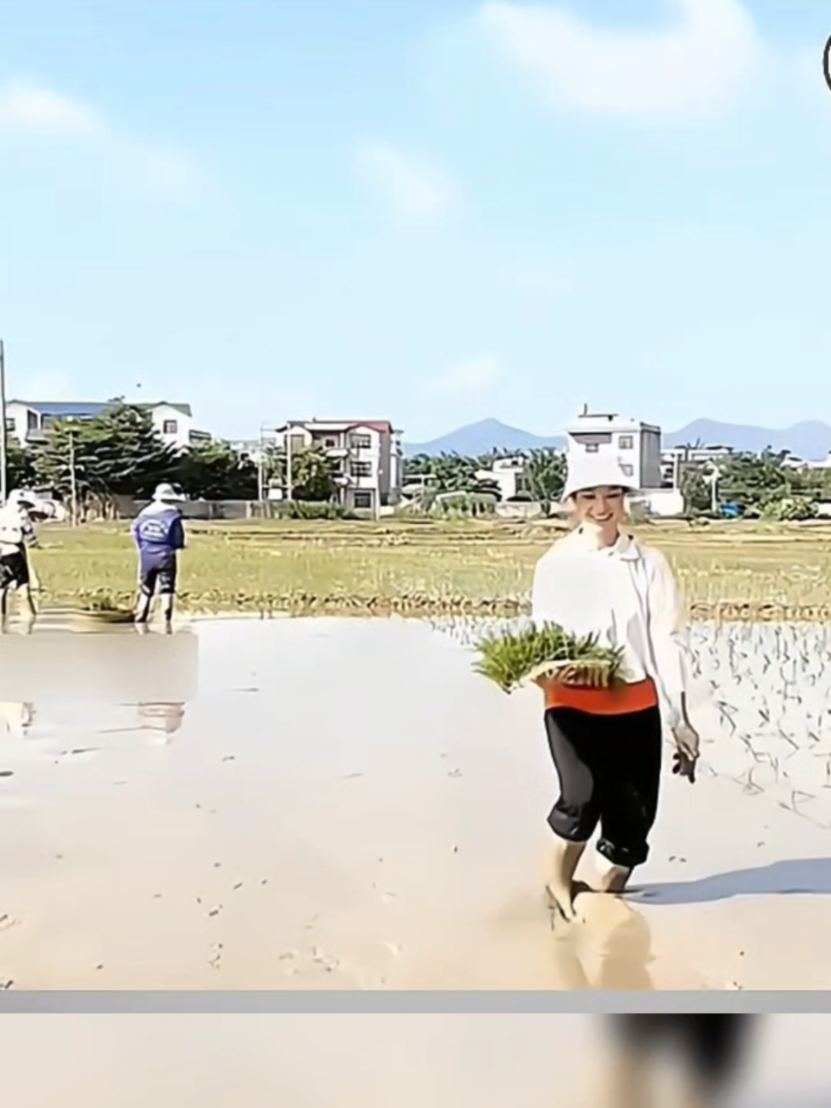 Khám phá phương pháp cấy lúa đơn giản, tiết kiệm công sức mà vẫn mang lại hiệu quả cao cho bà con nông dân. Giải pháp hữu ích giúp canh tác lúa dễ dàng và năng suất hơn. 🌾 Hashtag: #CayLuaDonGian #NongNghiepThongMinh #LuaGaoViet #NhaNong #nhacogihay07 