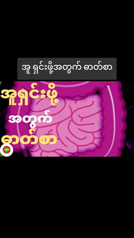 #အူရှင်းဖို့အတွက်ဓာတ်စာ #ကျန်းမာရေးဗဟုသုတ #knowledge #foryou #healing 