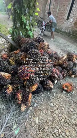 kapan lagi beli jersy demon slayer murah meriah #viralvideo #fyp #jersey #demonslayer 