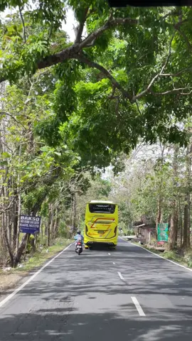 Yuhh penumpang e selak kebelett #gunungkidul #berkahbersaudaratrans #berkahbersaudaraarrasyiid #saestutrans #saestutranswisata 