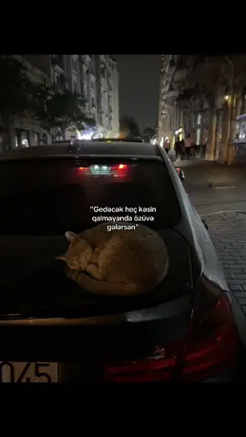 #keşfet 
