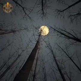 #SHAKIL_SPARK #behula300k  { fb id  - (shakil.behula)   }