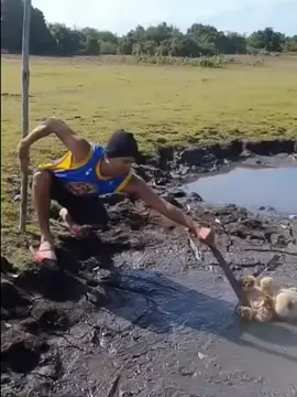 editor berkelas😎🤪 #pepeng #jokes #ff #fyp #foryoupage 