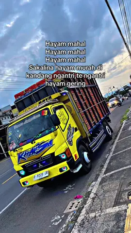 Begitulah dunia per ayaman🥵 #fy #kurirayam #pemburuhayambodas #pekerjakeras #drivermuda 