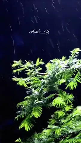 Ae Mere Humsafar (Song) #goviral #foryoupage #foryou #fyp #song 