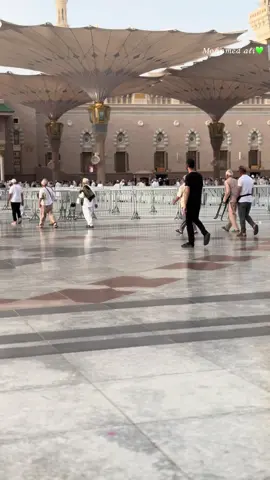 أنسوني بالمدينه 💚المادح:-أبوبكر الحبر ✍🏻الشيخ عبدالله الحبر@Bakry Alhiber  #المسجد_النبوي_الشريف #مديح #السودان #اللهم_صل_وسلم_وبارك_على_نبينا_محمد