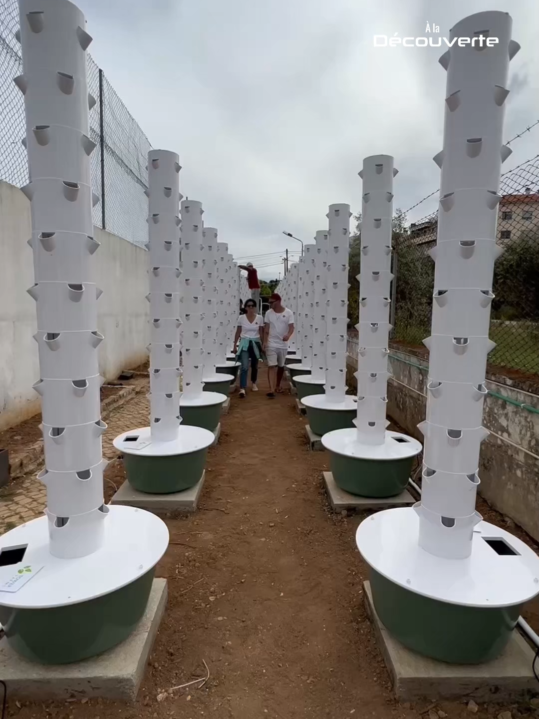 🔒🌱 Une prison... transformée en ferme ? #lesaviezvous #apprendresurtiktok #inventions #technologie