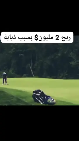 ربح ملايين بذبابة