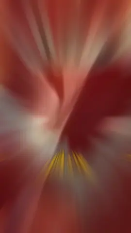 #💕💕💕💕💕💕💕💕 #