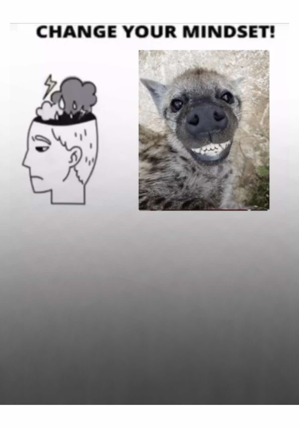 Change your mindset become a hyena  #hyena #changeyourmindset #meme #memetemplate #capcut 