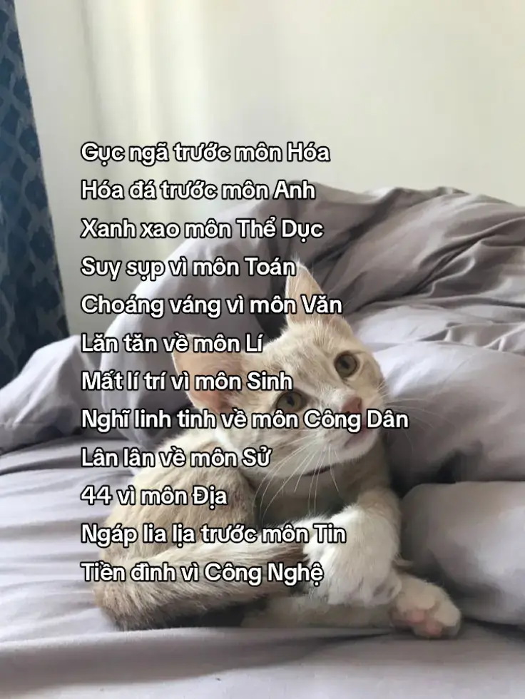 #xh #fyp #viral #tamtrang 