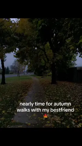 nearly time #foryou #autumn #falltok #autumnwalks #bestfriend 