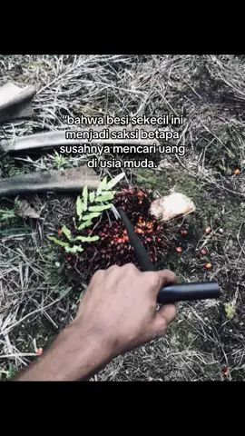 #xbycza #masukberanda #sawitontiktok #bahanswmu #fyp 