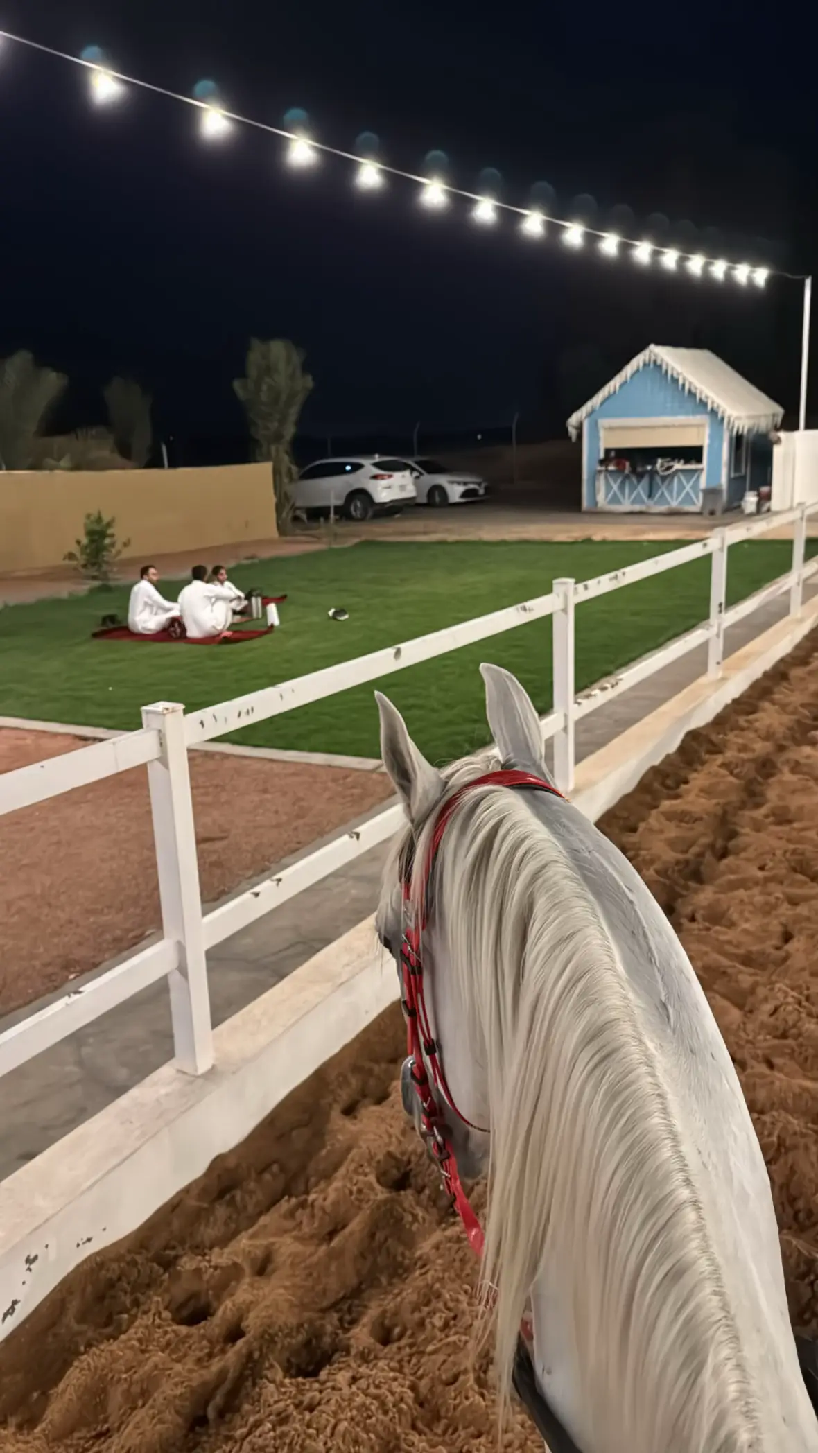 #عشوائيات #qassim #الرياض 