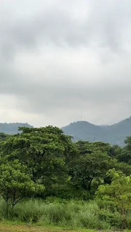 Most tequested songs. #songs #lovesongs #viral 