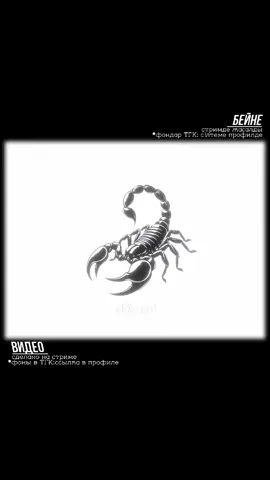 Насколько сильна ваша сила воли? #aqordasqd #nomadtt #цитата #фраза #мысль #силаволи #motivation #philosophy #real #gpppp 