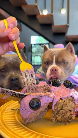 Bolo Unicórnio 🦄 @SPARK PAWS #sparkpaws 