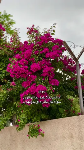 نعم🙂‍↕️🫴#ايان_السراوي 