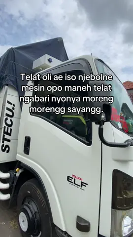 Moreng moreng bune 