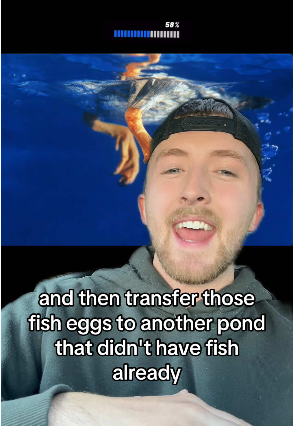 How fishes just appear sometimes 😳🤯😳                      #fish #ducks #nature #facts #themoreyouknow 