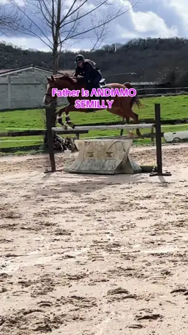 #andiamosemilly #flex #pourtoi 