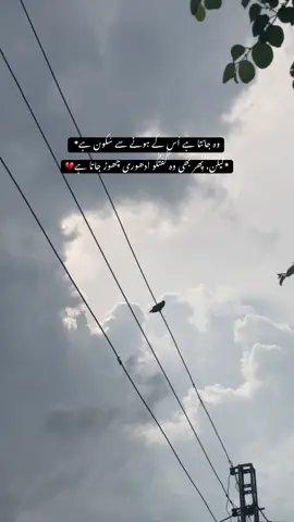 *وہ جانتا ہے اُس کے ہونے سے سُکُون ہے❤‍🩹🥹* *لیکن، پِھر بھی وہ گُفتگُو ادھوری چھوڑ جاتا ہے💔😭*#💔🥀 #foryou #trending 