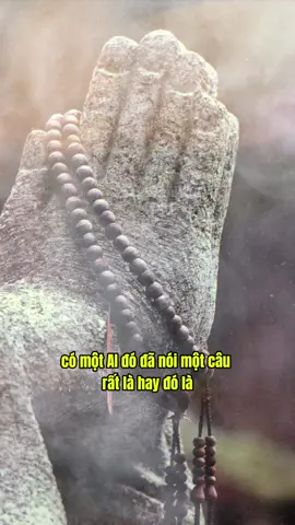 tôi rất là đau khổ vì không có giày để đi nhưng … #phatphap #phatphapnhiemmau #annhien #loiphatday #chualanhtamhon #thichtamnguyen 